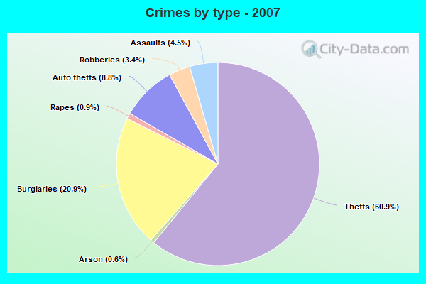 Crimes by type - 2007