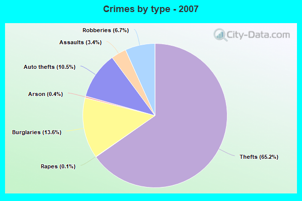 Crimes by type - 2007