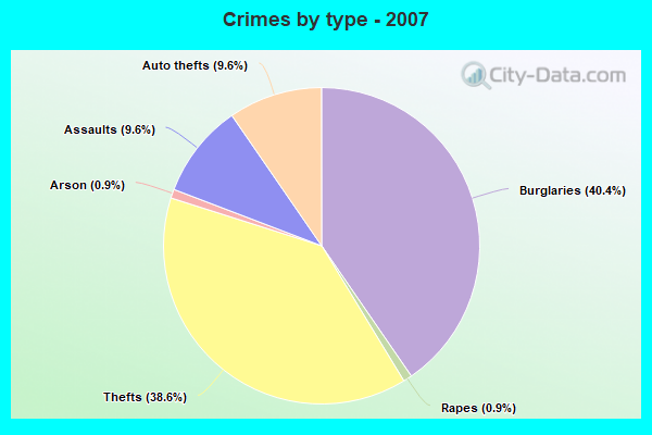 Crimes by type - 2007