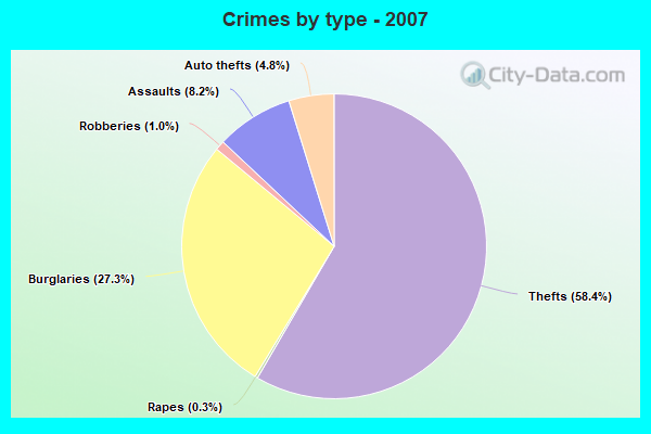 Crimes by type - 2007