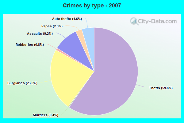 Crimes by type - 2007