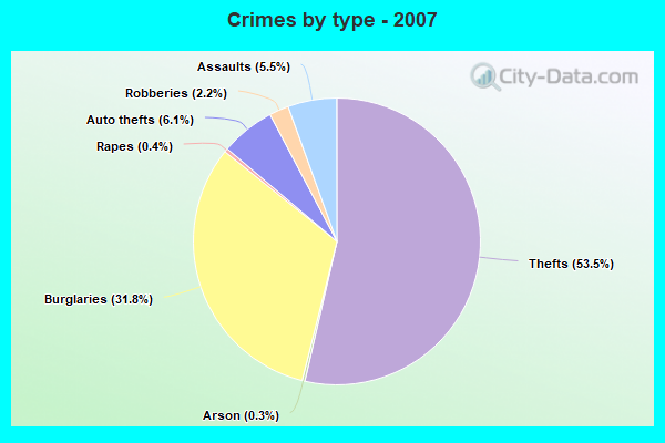 Crimes by type - 2007