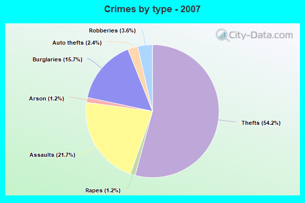 Crimes by type - 2007