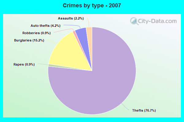 Crimes by type - 2007