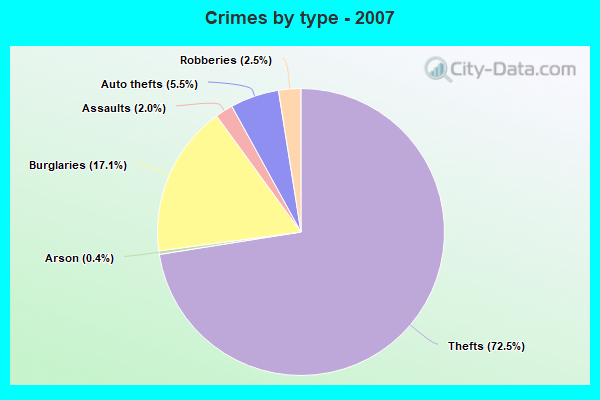 Crimes by type - 2007