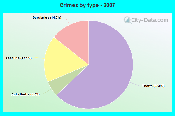 Crimes by type - 2007