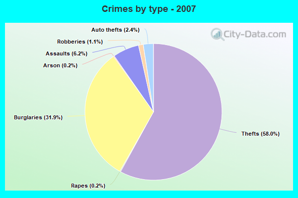 Crimes by type - 2007