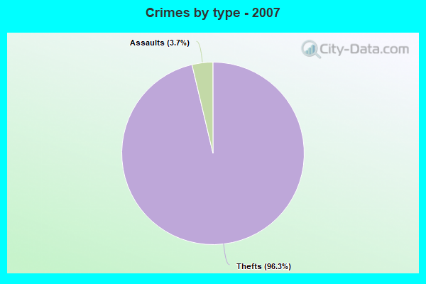 Crimes by type - 2007