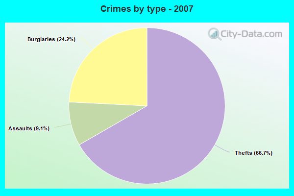 Crimes by type - 2007