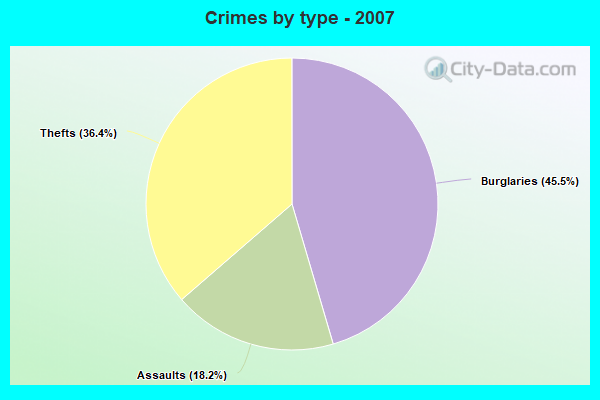 Crimes by type - 2007