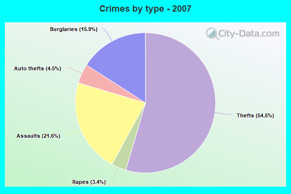 Crimes by type - 2007