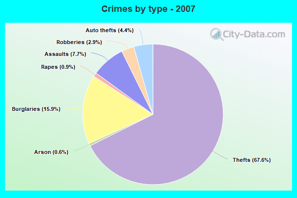 Crimes by type - 2007
