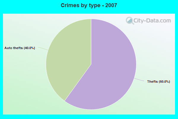 Crimes by type - 2007