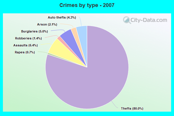 Crimes by type - 2007