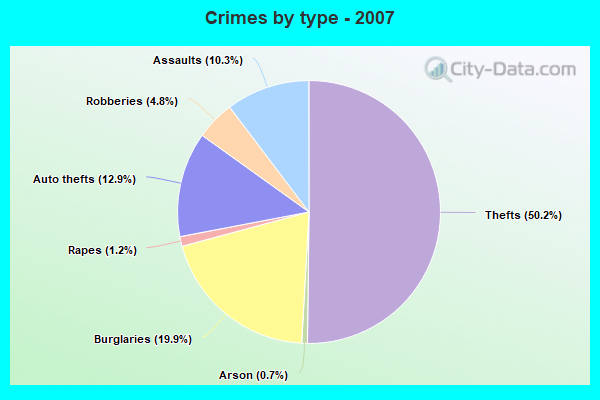 Crimes by type - 2007