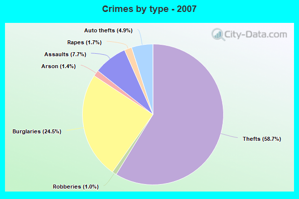 Crimes by type - 2007