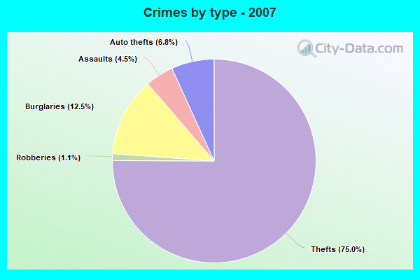 Crimes by type - 2007