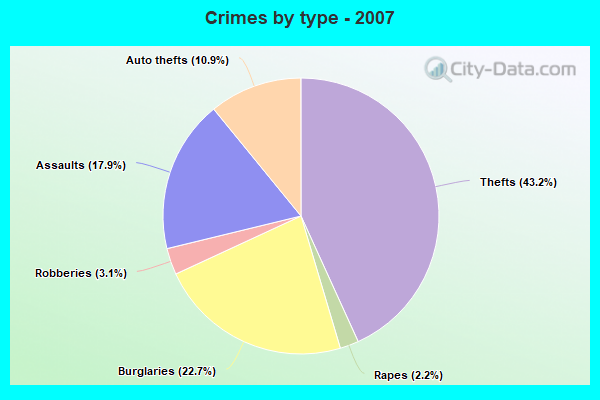 Crimes by type - 2007