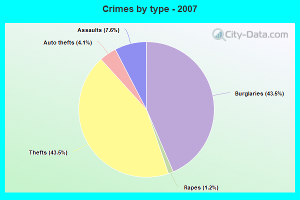 Crimes by type - 2007