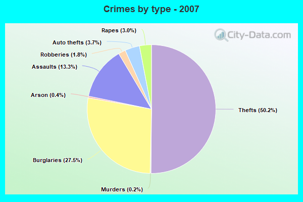 Crimes by type - 2007