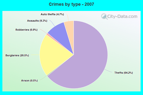 Crimes by type - 2007