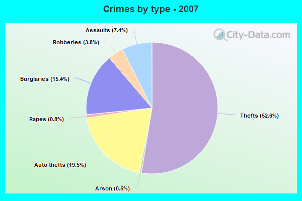 Crimes by type - 2007