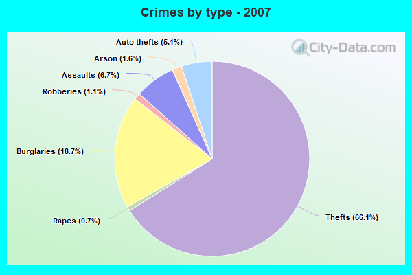 Crimes by type - 2007