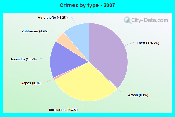 Crimes by type - 2007