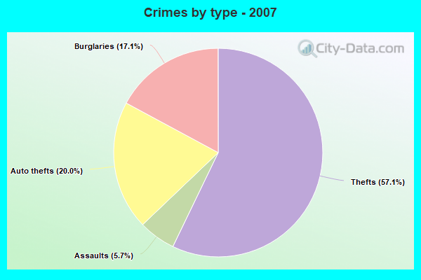 Crimes by type - 2007