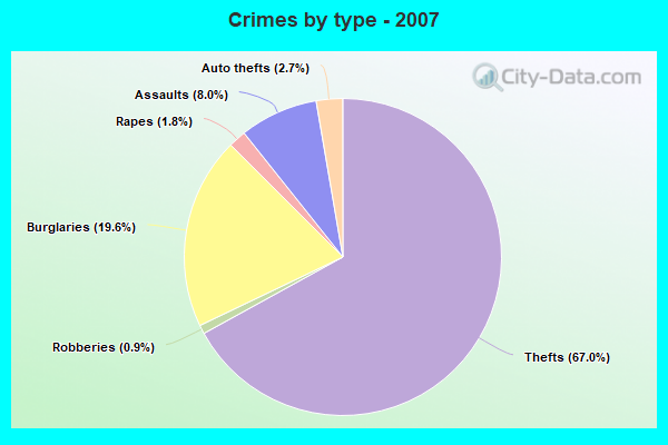 Crimes by type - 2007