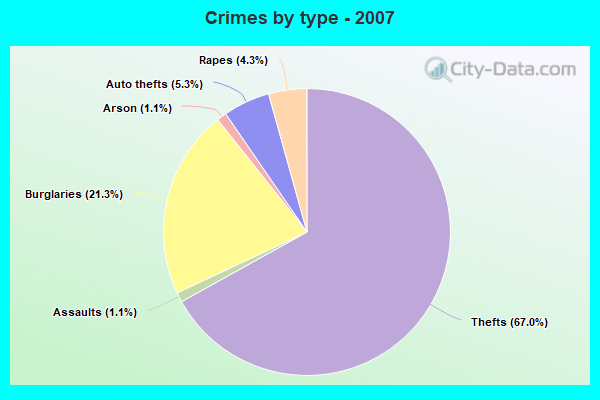 Crimes by type - 2007