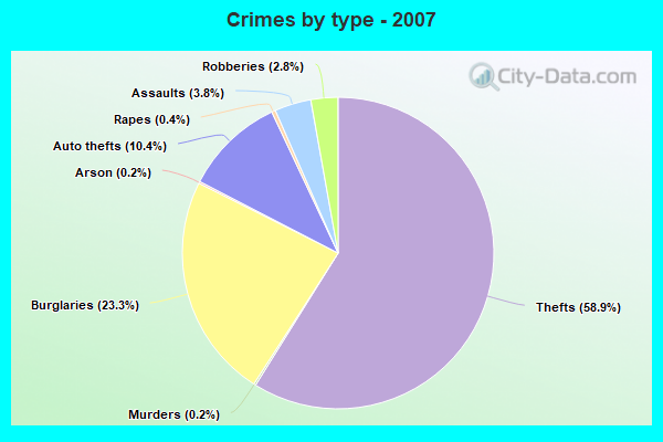 Crimes by type - 2007