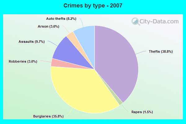 Crimes by type - 2007