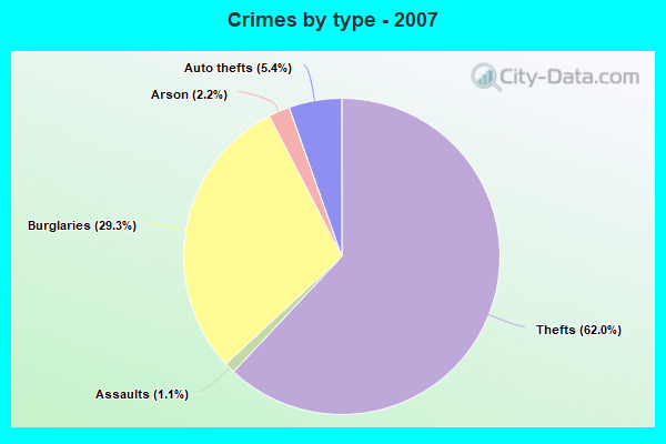 Crimes by type - 2007