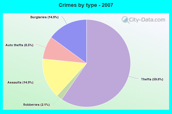 Crimes by type - 2007