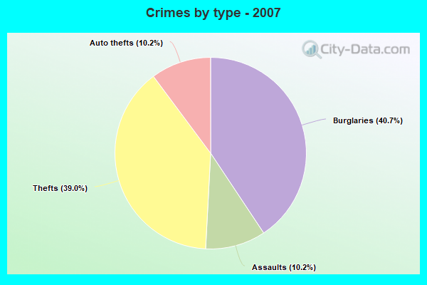 Crimes by type - 2007