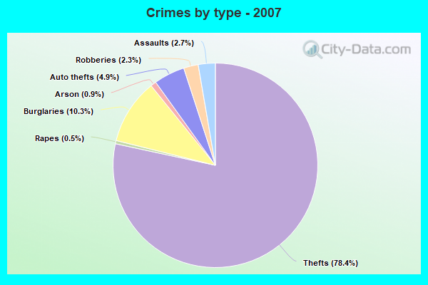 Crimes by type - 2007