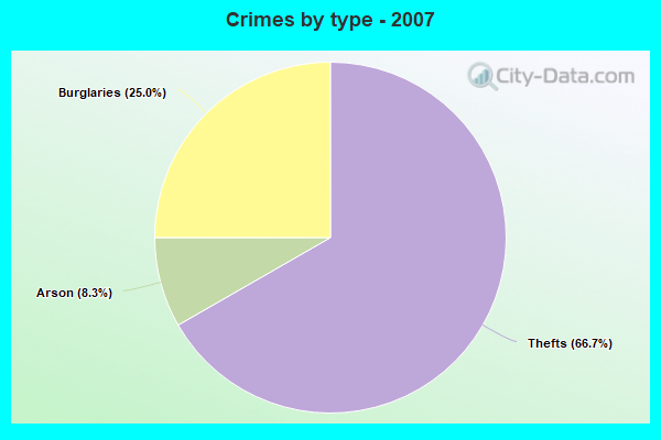 Crimes by type - 2007