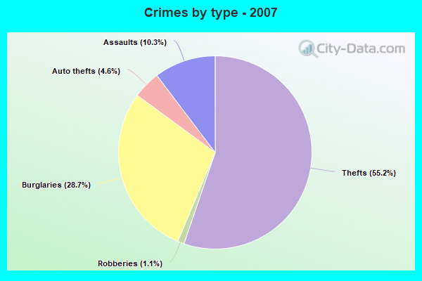 Crimes by type - 2007