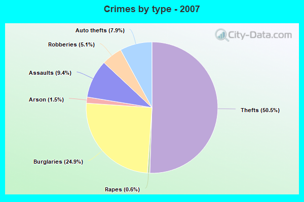 Crimes by type - 2007