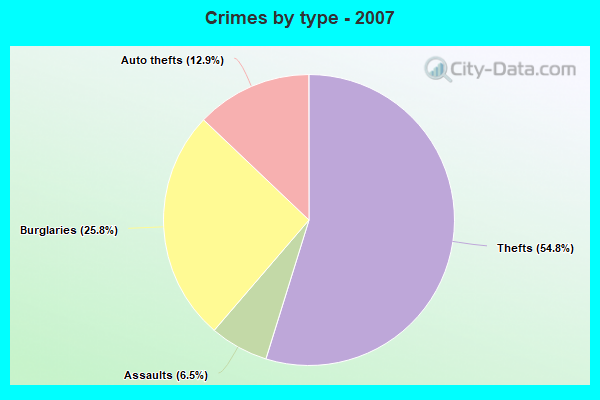 Crimes by type - 2007