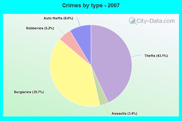 Crimes by type - 2007