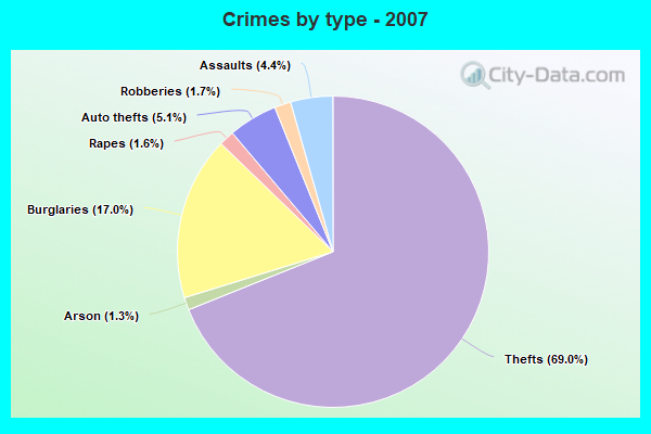 Crimes by type - 2007