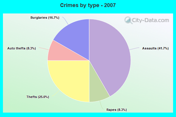 Crimes by type - 2007