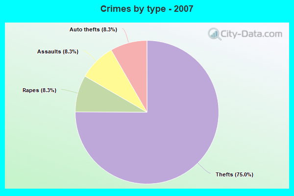 Crimes by type - 2007