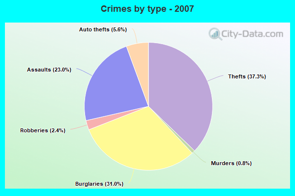 Crimes by type - 2007