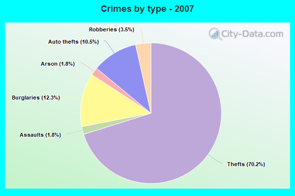 Crimes by type - 2007