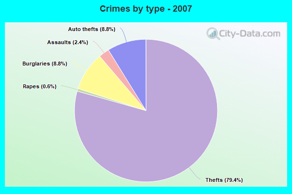 Crimes by type - 2007