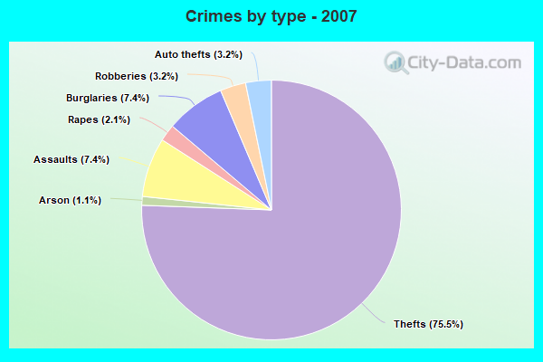 Crimes by type - 2007