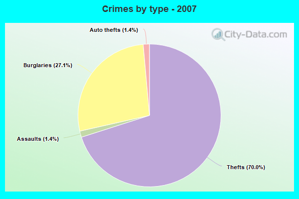 Crimes by type - 2007